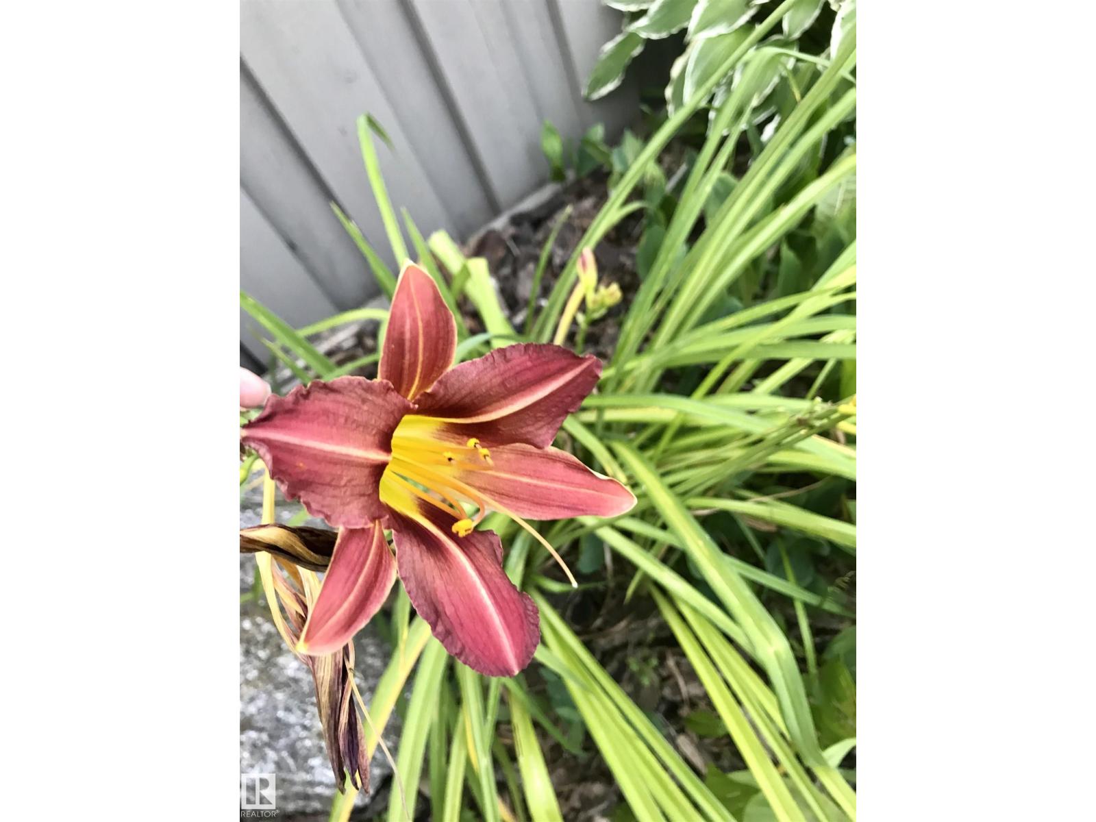 10 Oakridge Dr S, St. Albert, Alberta  T8N 6E4 - Photo 57 - E4476262