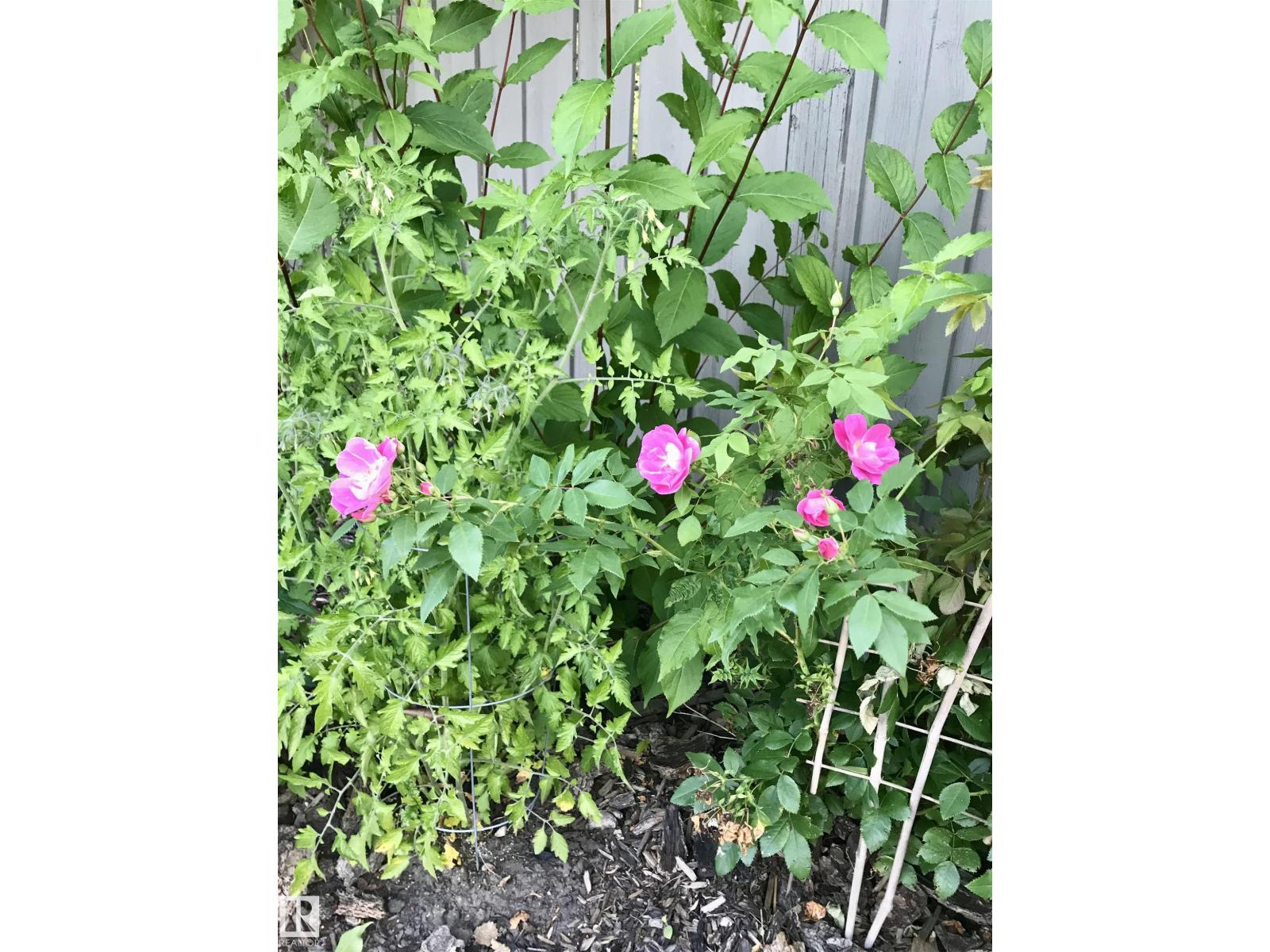 10 Oakridge Dr S, St. Albert, Alberta  T8N 6E4 - Photo 60 - E4476262