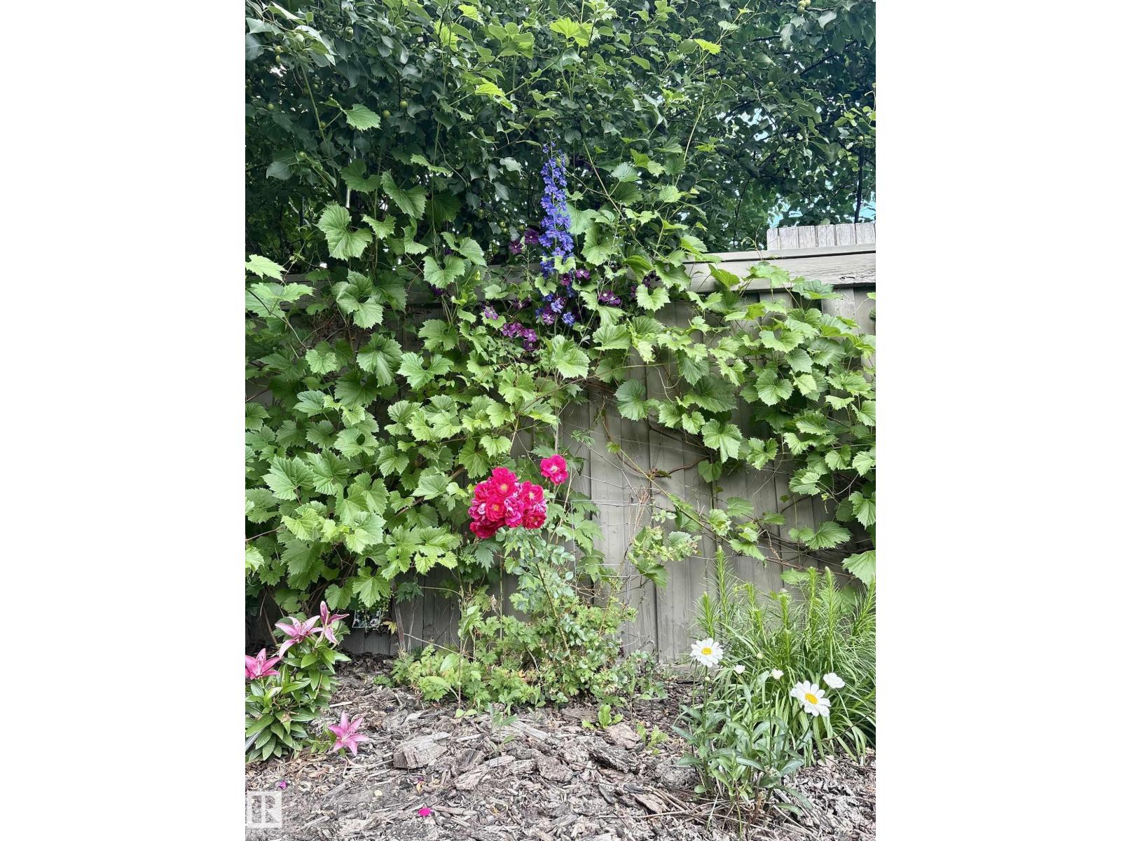 10 Oakridge Dr S, St. Albert, Alberta  T8N 6E4 - Photo 66 - E4476262