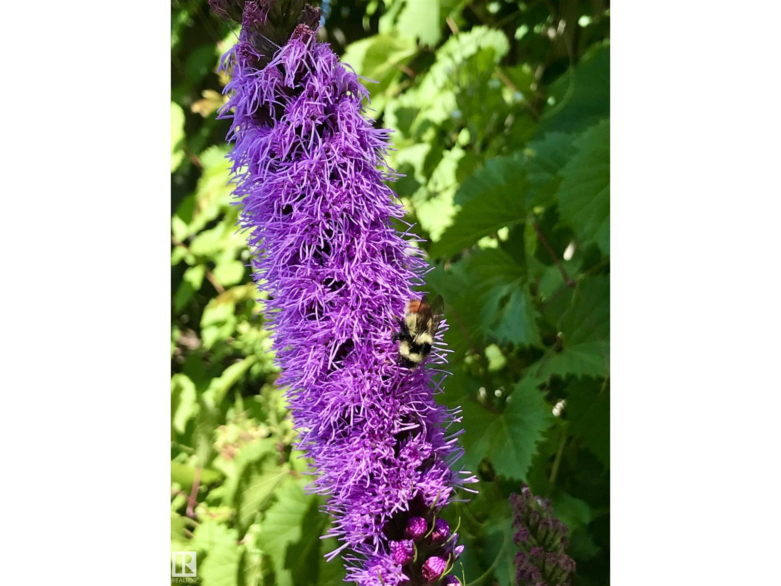 10 Oakridge Dr S, St. Albert, Alberta  T8N 6E4 - Photo 63 - E4476262