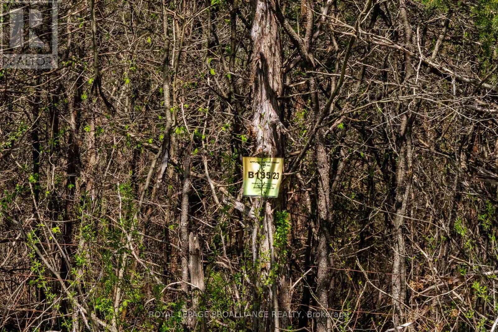 0 Callaghan Road, Tyendinaga (Tyendinaga Township), Ontario  K0K 2N0 - Photo 10 - X12055689