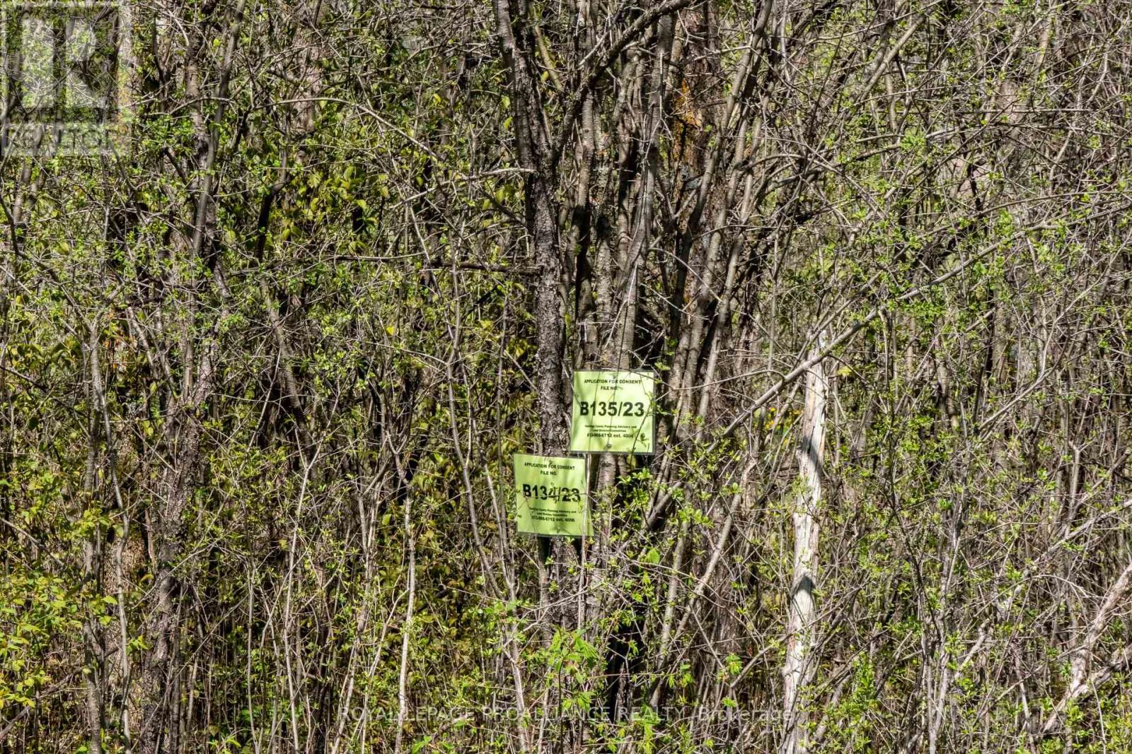 00 Callaghan Road, Tyendinaga (Tyendinaga Township), Ontario  K0K 2N0 - Photo 5 - X12055695