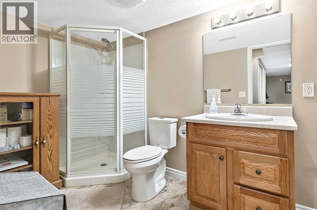 142 Freeman Way Nw, High River, Alberta  T1V 1V4 - Photo 26 - A2285593