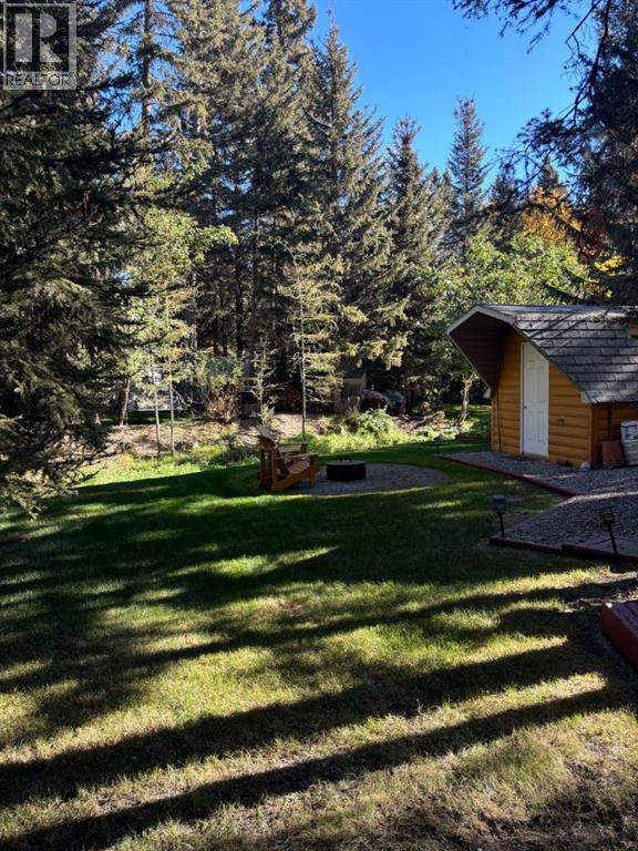 18, 200 4th Ave Sw, Sundre, Alberta T0M 1X0 - Photo 16 - A2262727