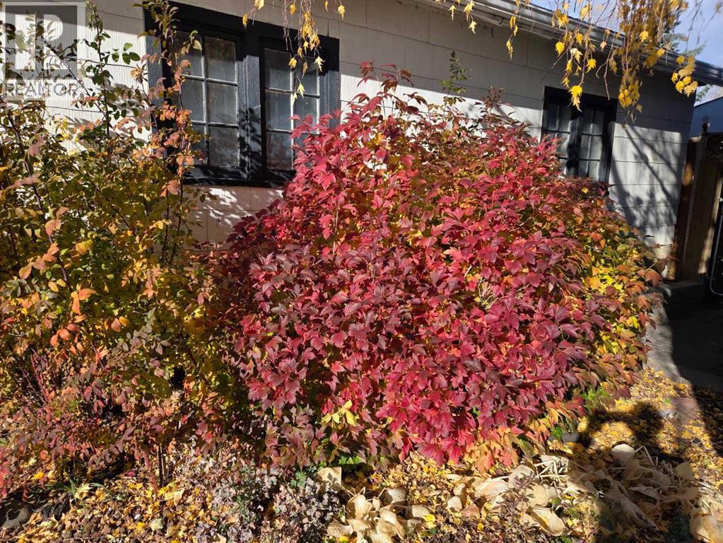 382 Ellis Crescent Se, High River, Alberta  T1V 1J1 - Photo 5 - A2291190