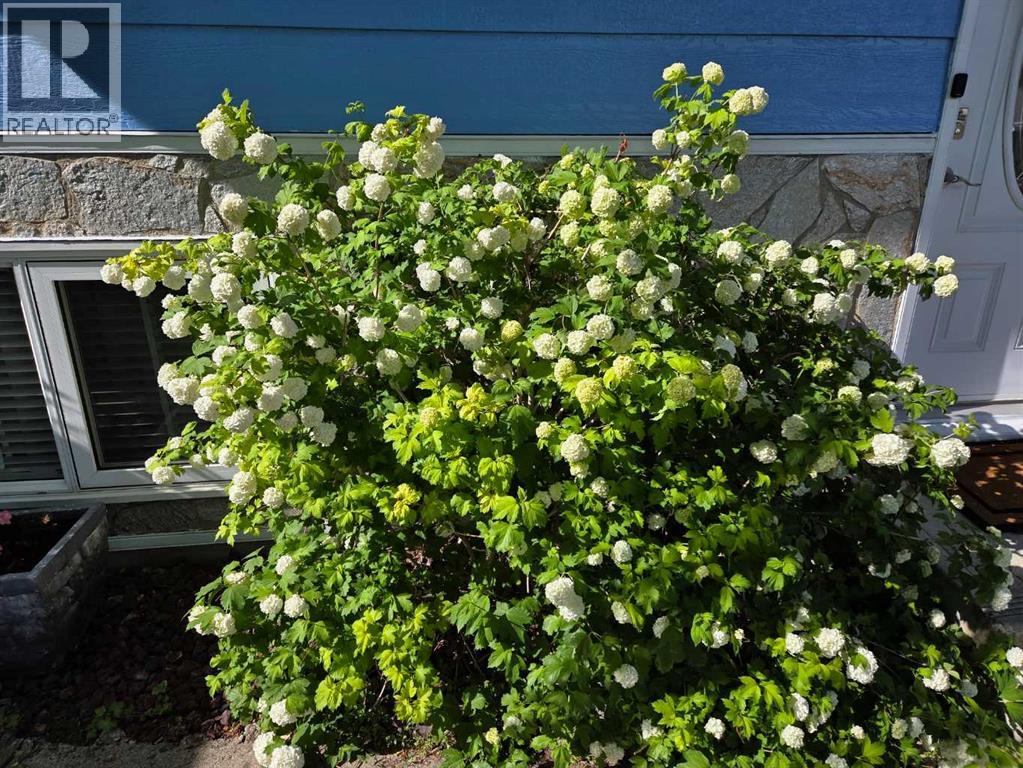 382 Ellis Crescent Se, High River, Alberta  T1V 1J1 - Photo 43 - A2291190