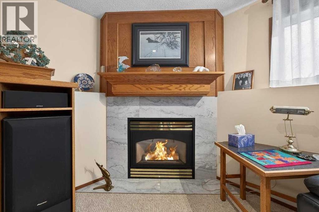 382 Ellis Crescent Se, High River, Alberta  T1V 1J1 - Photo 36 - A2291190