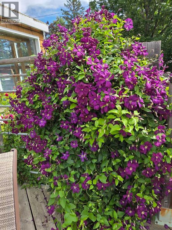 382 Ellis Crescent Se, High River, Alberta  T1V 1J1 - Photo 49 - A2291190