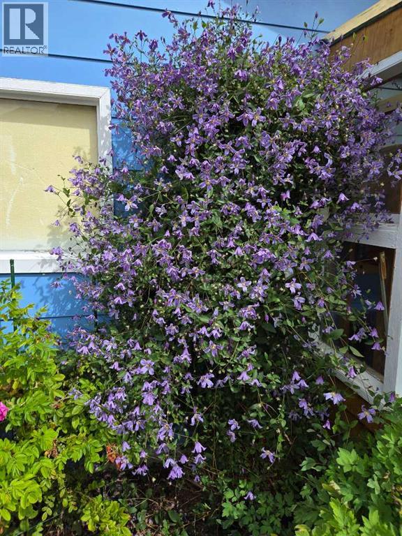 382 Ellis Crescent Se, High River, Alberta  T1V 1J1 - Photo 42 - A2291190