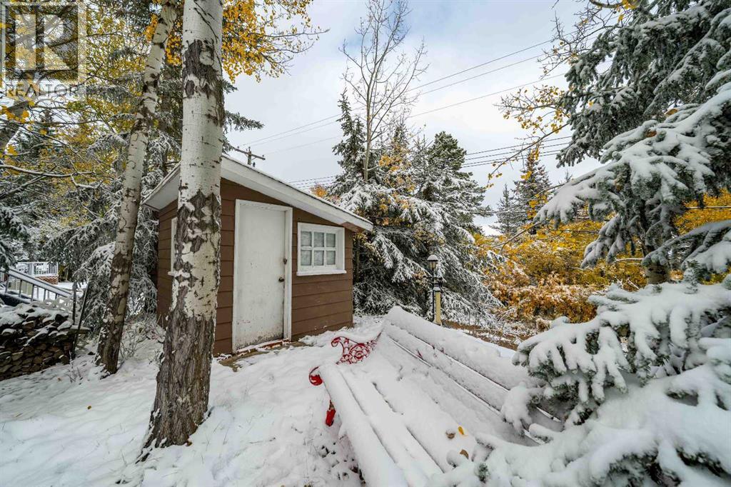 210 6 Avenue, Rural Cypress County, Alberta  T0J 1C0 - Photo 40 - A2263240