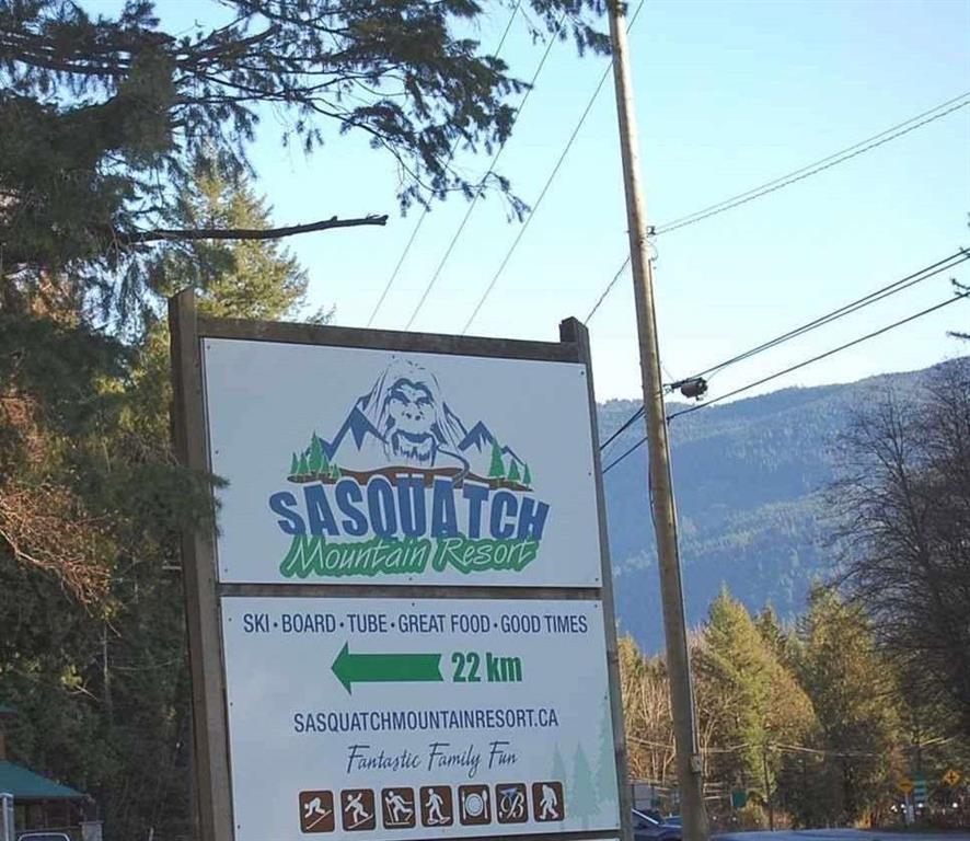 46913 Laurel Place, Mission, British Columbia  V0M 1A1 - Photo 33 - R3097190