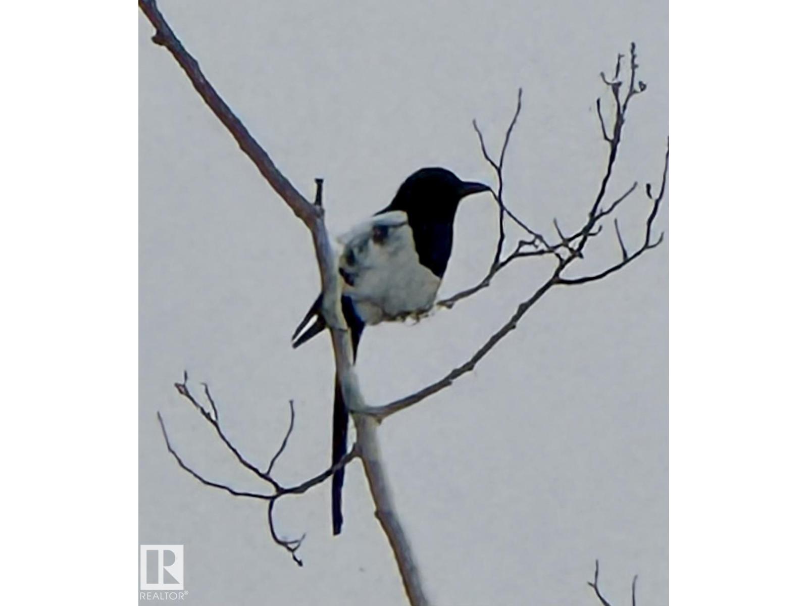 #22 9703 174 St Nw Nw, Edmonton, Alberta  T5T 6C5 - Photo 49 - E4475752