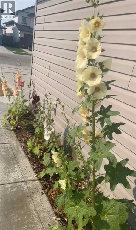 668 Robinson Avenue, Penhold, Alberta  T0M 0J0 - Photo 45 - A2287223