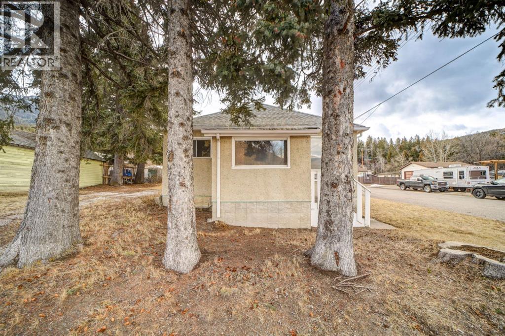 13302 16 Avenue, Blairmore, Alberta  T0K 0E0 - Photo 2 - A2286922