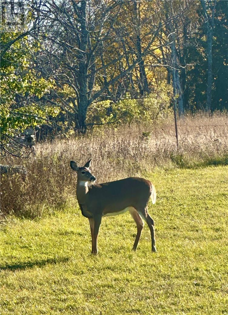 36 Fraser Street, Gore Bay, Ontario  P0P 1H0 - Photo 51 - 2125510
