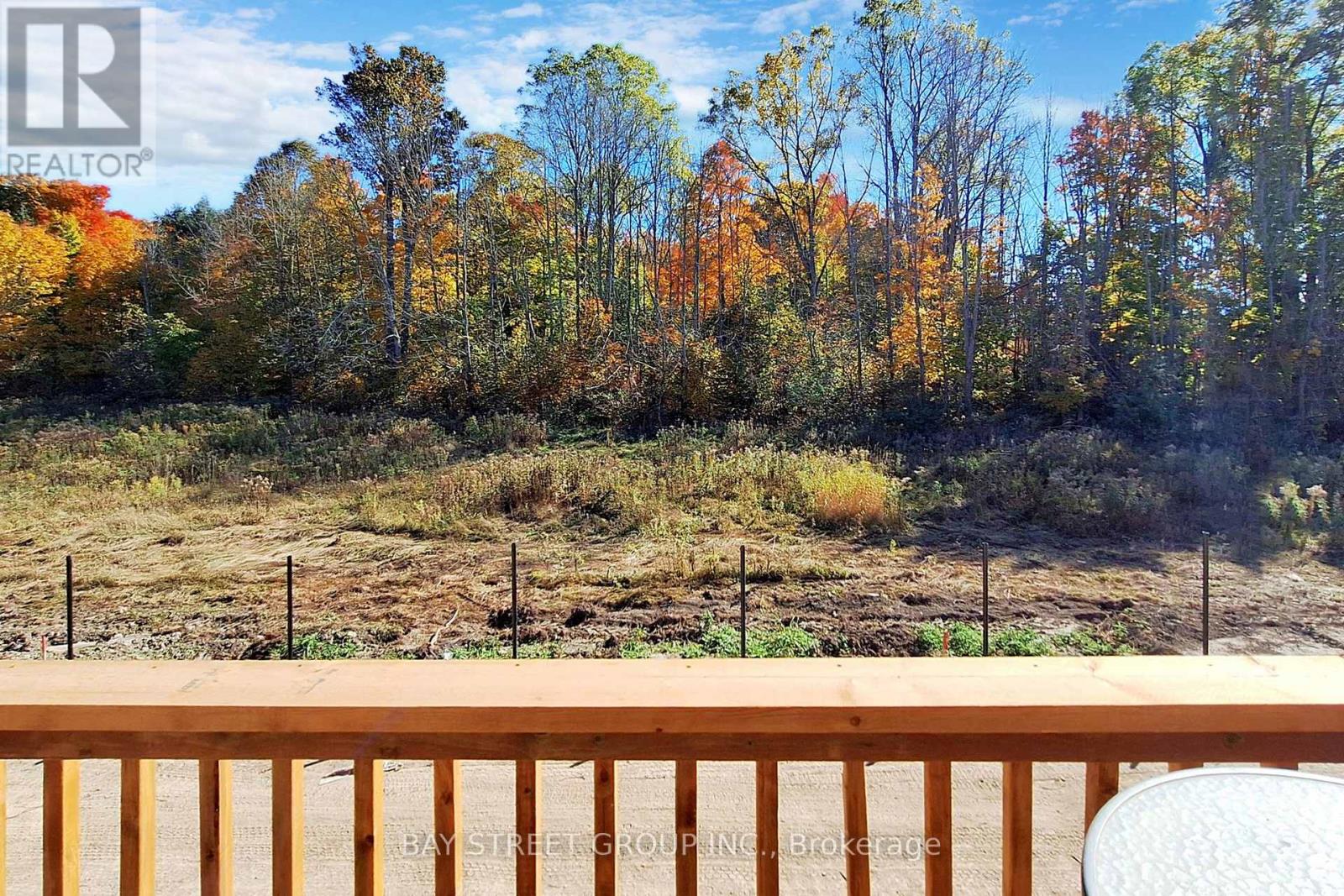 57 Big Canoe Drive, Georgina, Ontario  L0E 1R0 - Photo 30 - N12858318