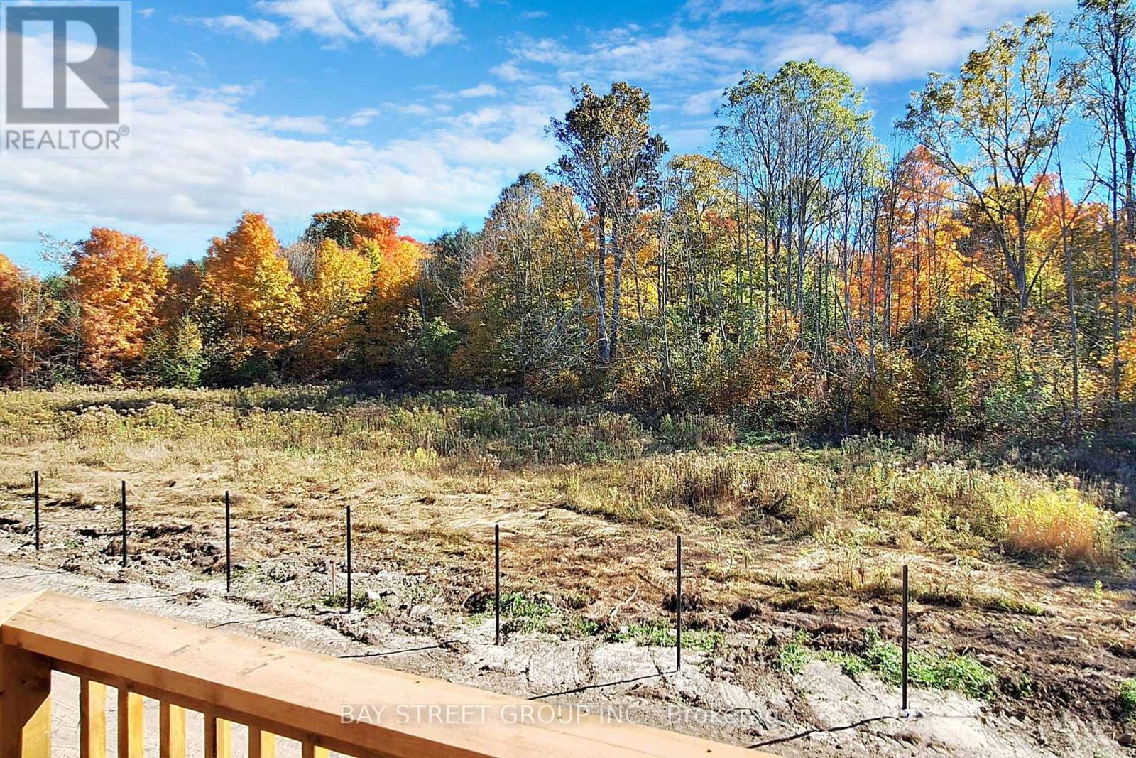 57 Big Canoe Drive, Georgina, Ontario  L0E 1R0 - Photo 32 - N12858318