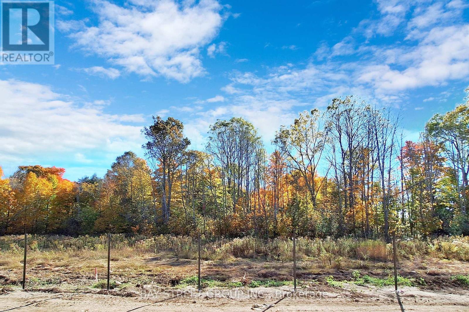 57 Big Canoe Drive, Georgina, Ontario  L0E 1R0 - Photo 31 - N12858318