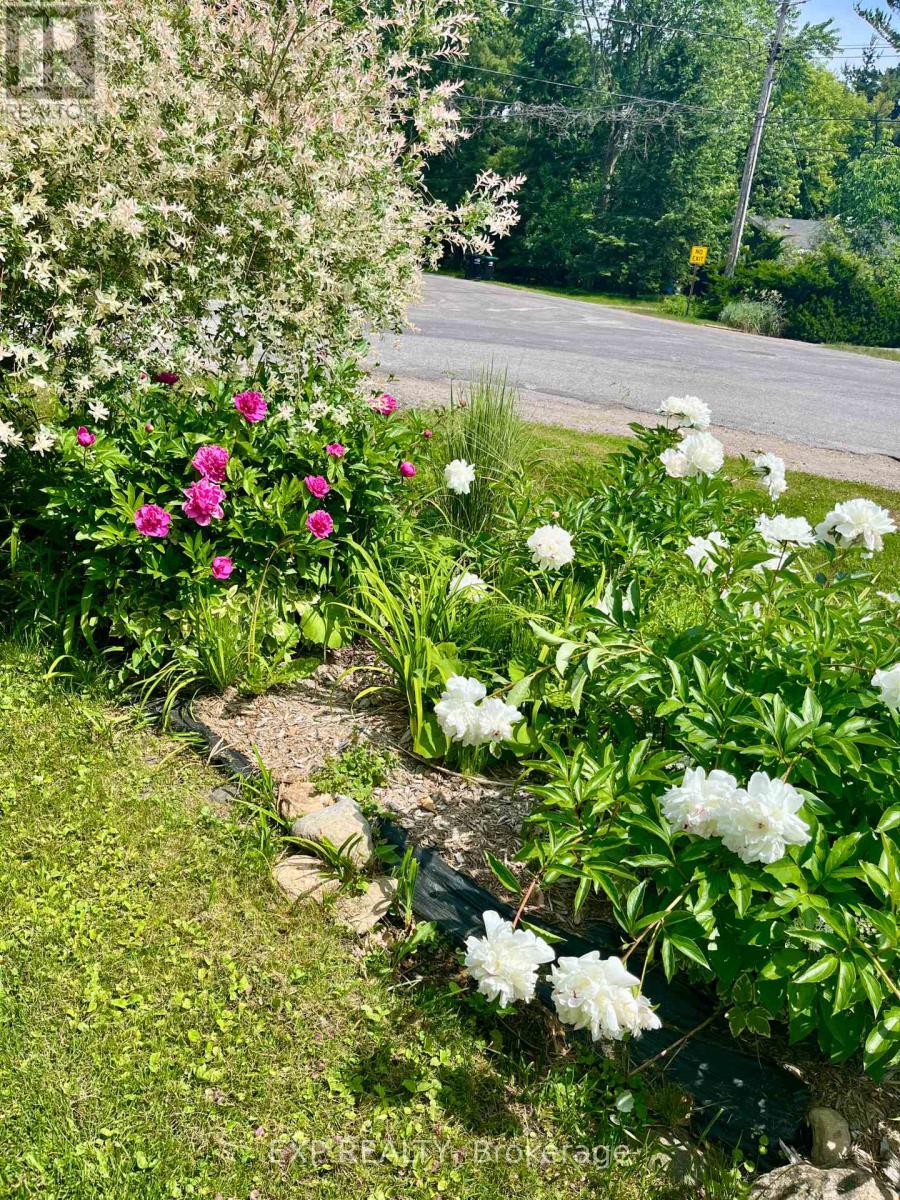 1104 Ferrier Avenue, Innisfil, Ontario  L0L 1W0 - Photo 40 - N12783594