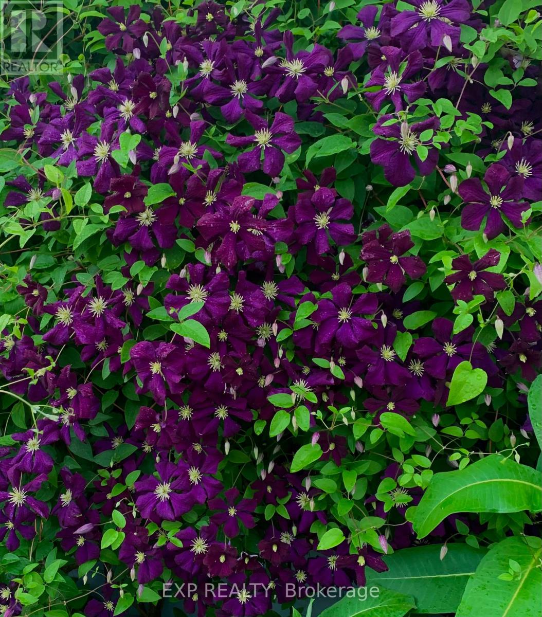 1104 Ferrier Avenue, Innisfil, Ontario  L0L 1W0 - Photo 42 - N12783594