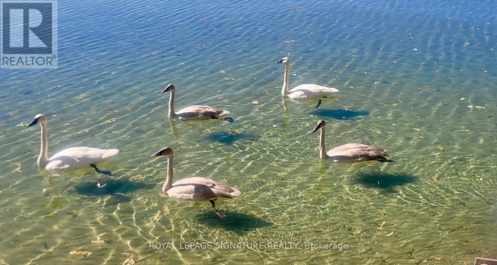 2644 LAKESHORE DRIVE, Ramara, Ontario