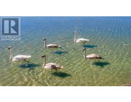 2644 LAKESHORE DRIVE, Ramara, Ontario