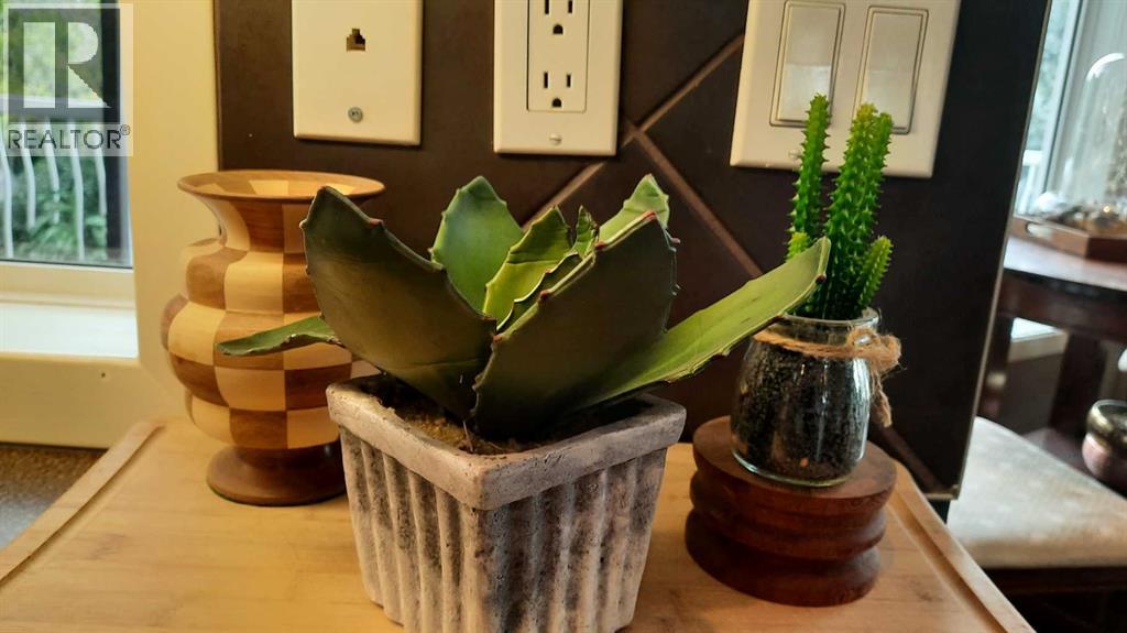 2070 Newcastle Trail, Drumheller, Alberta  T0J 0Y2 - Photo 13 - A2290857