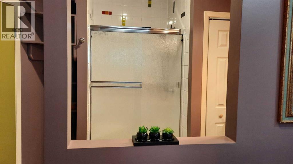 2070 Newcastle Trail, Drumheller, Alberta  T0J 0Y2 - Photo 26 - A2290857