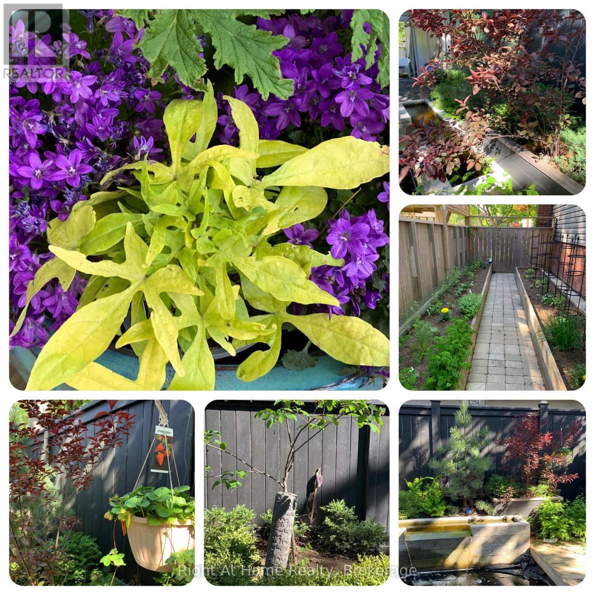 5224 Verhoeven Road, Burlington (Appleby), Ontario  L7L 3A9 - Photo 47 - W12806674