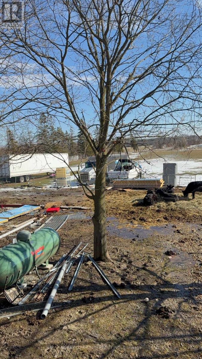 2086 Solina Road, Clarington, Ontario  L1C 6Z1 - Photo 11 - E12846338