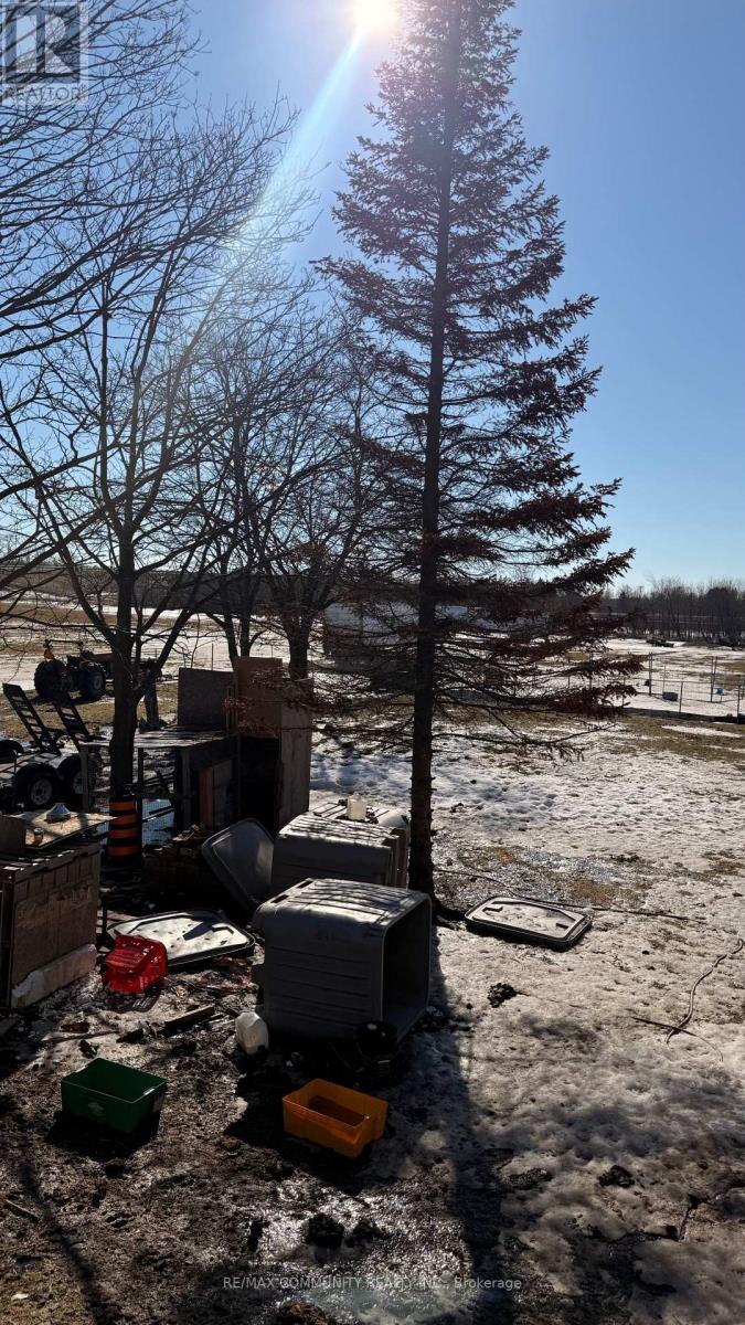 2086 Solina Road, Clarington, Ontario  L1C 6Z1 - Photo 13 - E12846338