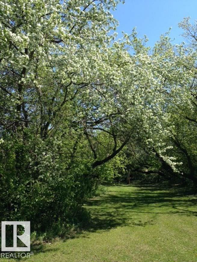 19125 25 St Ne, Edmonton, Alberta T5Y 6K2 - Photo 3 - E4476468