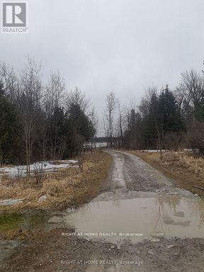 208 Mcguire Beach Road, Kawartha Lakes, Ontario  K0M 2B0 - Photo 10 - X12859916