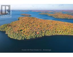 0 BEAR ISLAND, Dysart et al, Ontario