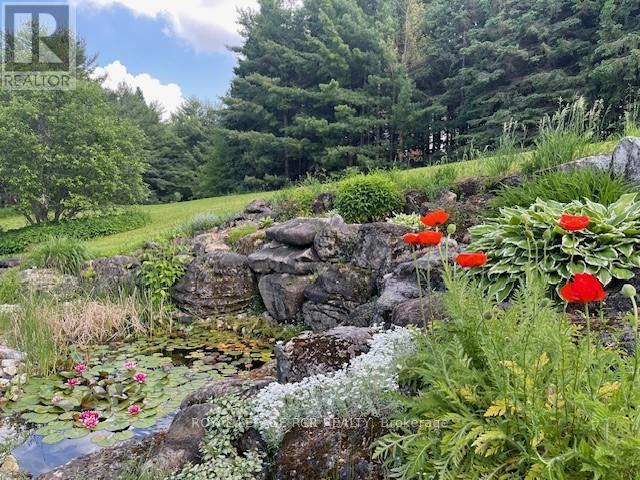 247230 5 Side Road, Mono, Ontario  L9W 6K6 - Photo 50 - X12849006