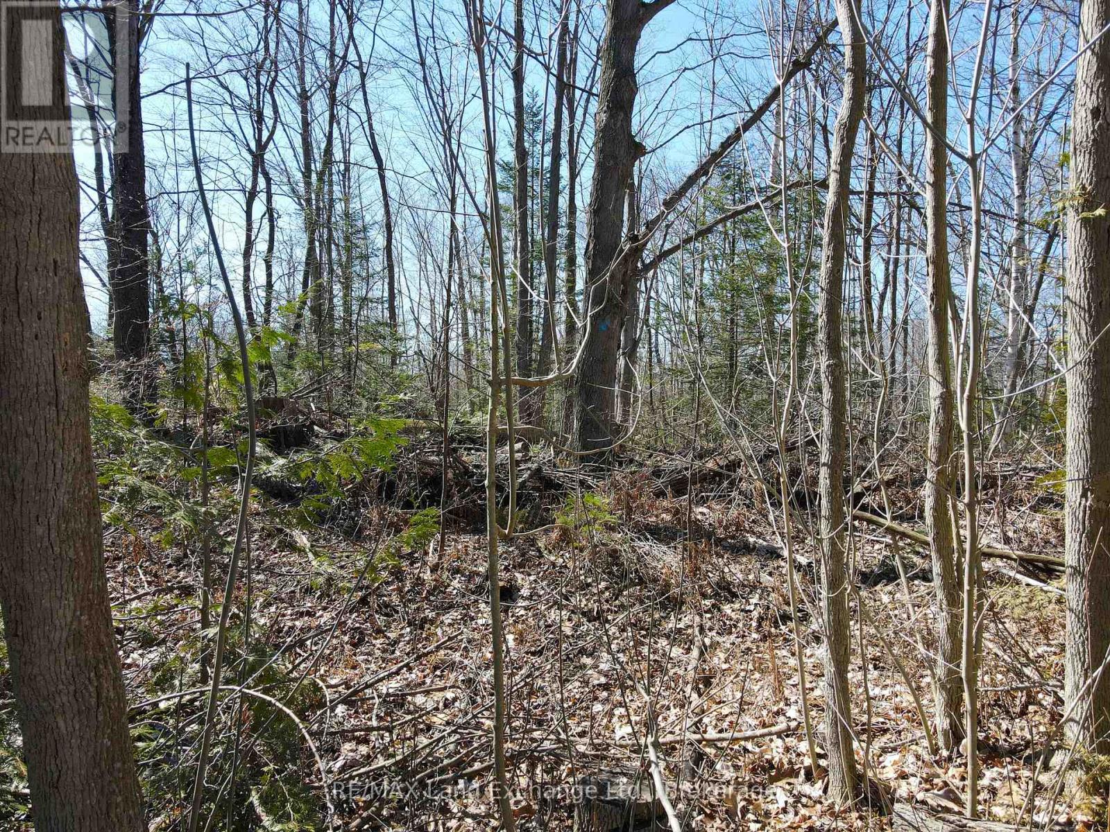 83 Silver Lake Crescent, South Bruce Peninsula, Ontario  N0H 2G0 - Photo 3 - X12860084