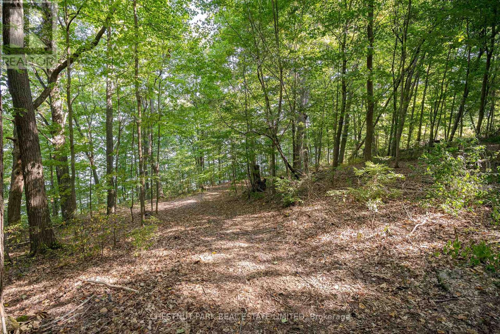 2035 County Rd 7, Prince Edward County, Ontario  K0K 2T0 - Photo 22 - X12860104