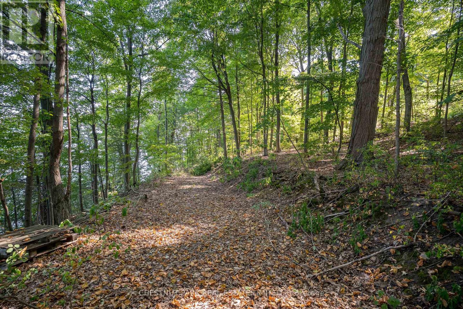 2035 County Rd 7, Prince Edward County, Ontario  K0K 2T0 - Photo 23 - X12860104