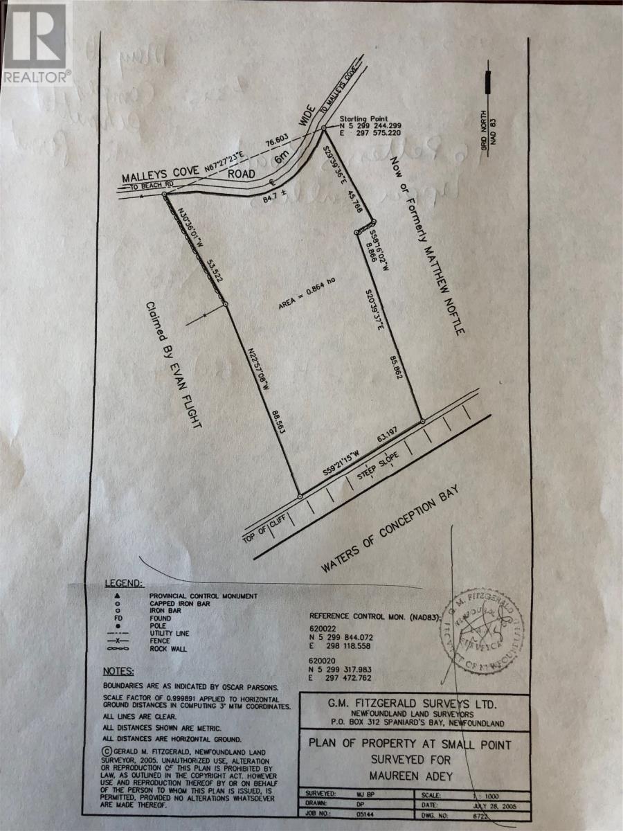 30 Beach Road, Small Point - Adam's Pond, Newfoundland & Labrador  A0A 2L0 - Photo 4 - 1295028