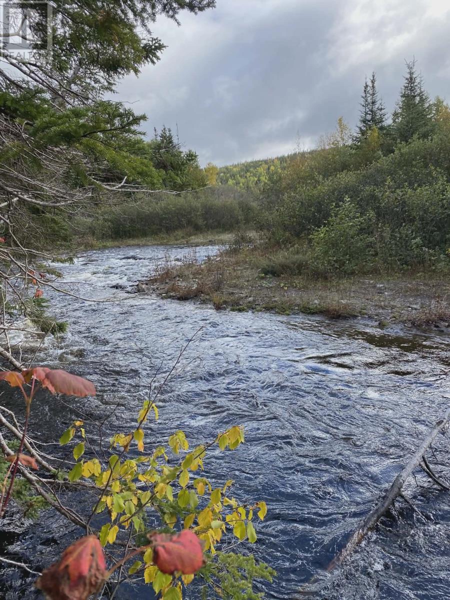 62a Country Road, Cox's Cove, Newfoundland & Labrador  A0L 1C0 - Photo 7 - 1295046