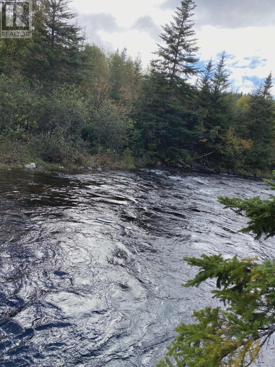 62a Country Road, Cox's Cove, Newfoundland & Labrador  A0L 1C0 - Photo 8 - 1295046