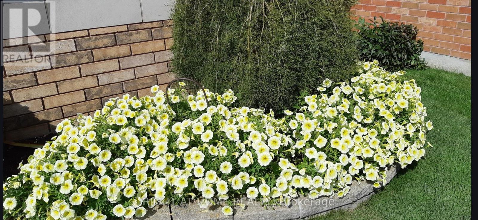 295 Waterbury Crescent, Scugog (Port Perry), Ontario  L9L 1S5 - Photo 43 - E12860226