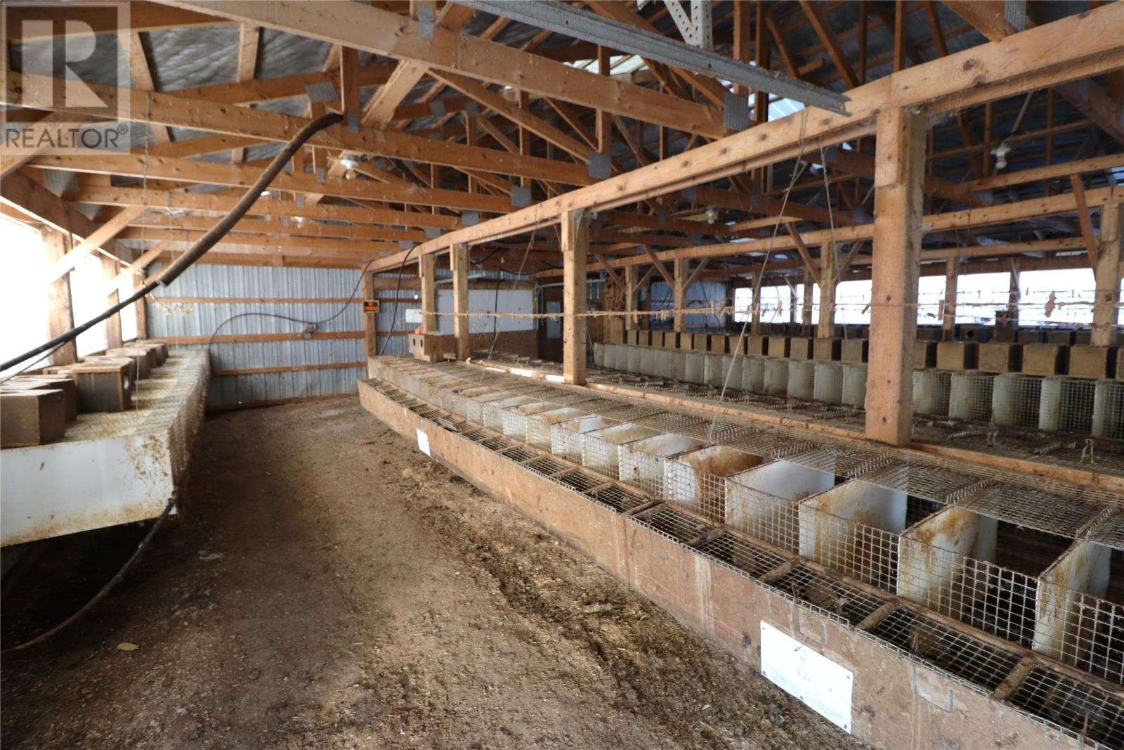 43-47 Birch Avenue, Cormack, Newfoundland & Labrador  A8A 2M3 - Photo 10 - 1295049