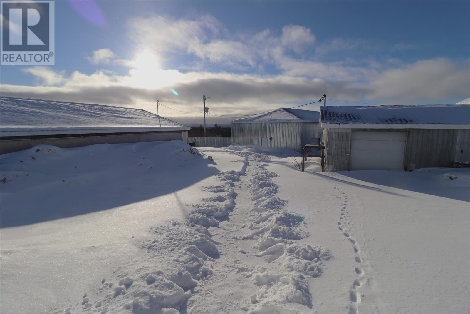 43-47 Birch Avenue, Cormack, Newfoundland & Labrador  A8A 2M3 - Photo 16 - 1295049