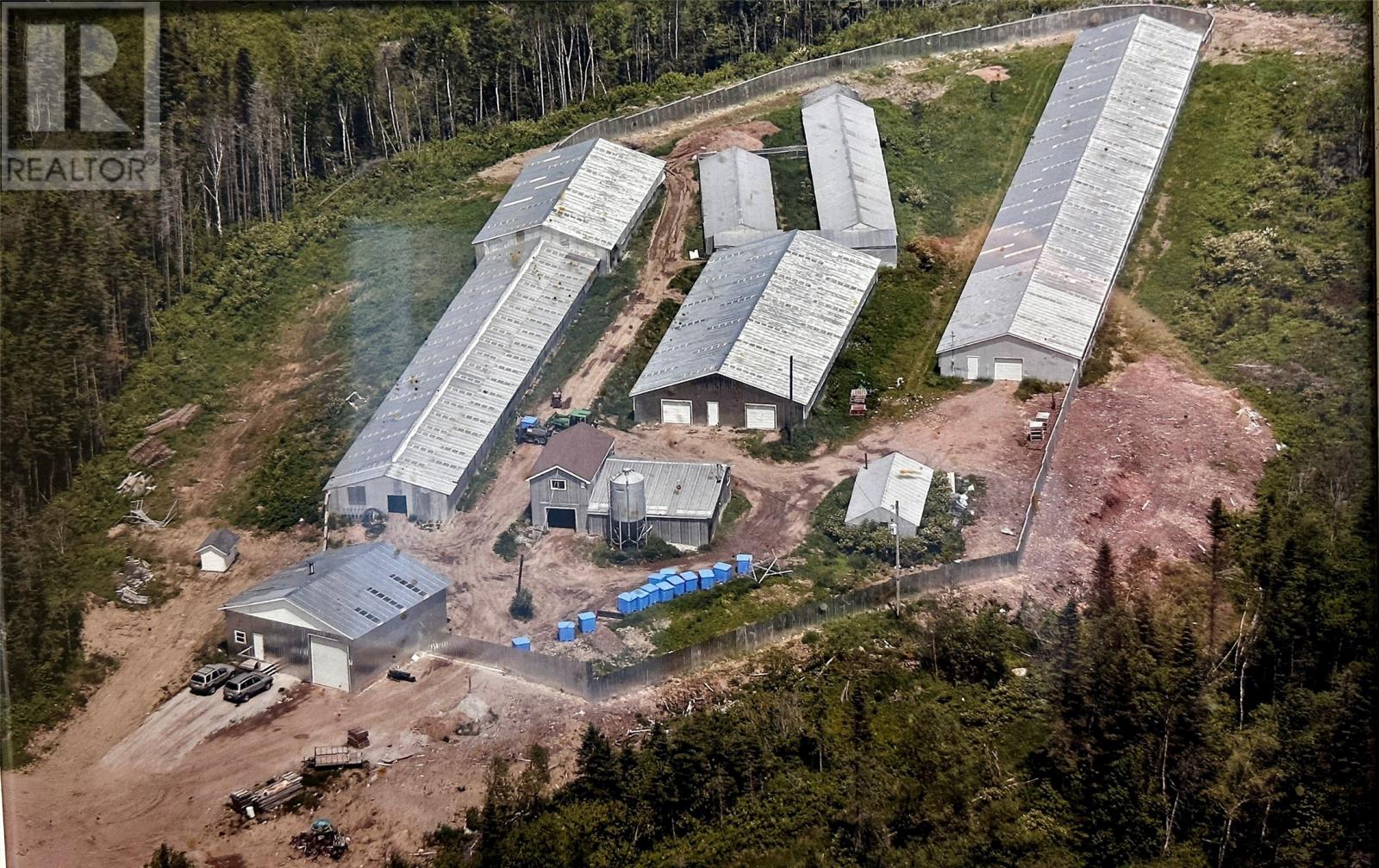 43-47 Birch Avenue, Cormack, Newfoundland & Labrador  A8A 2M3 - Photo 2 - 1295049