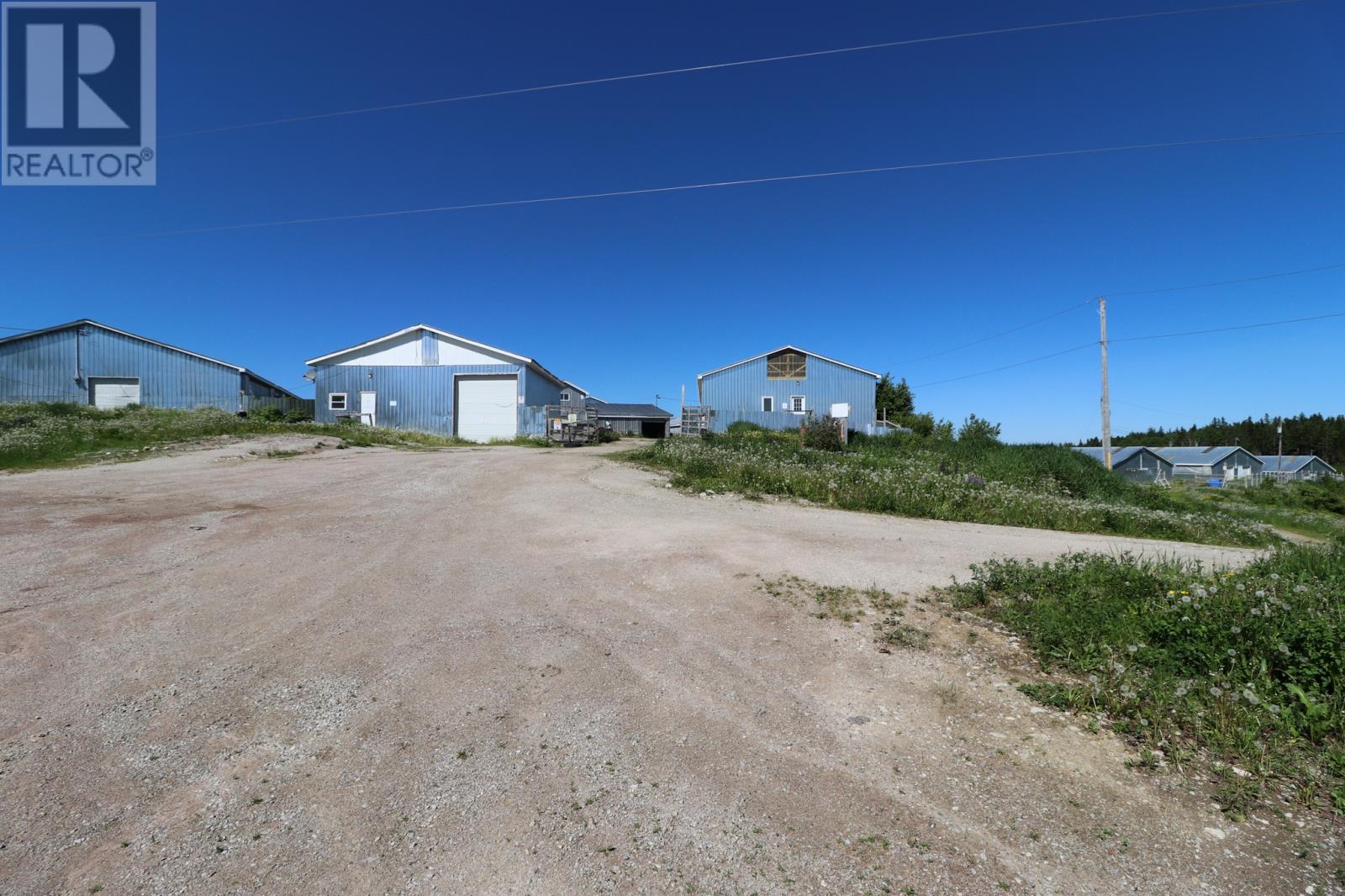 43-47 Birch Avenue, Cormack, Newfoundland & Labrador  A8A 2M3 - Photo 3 - 1295049