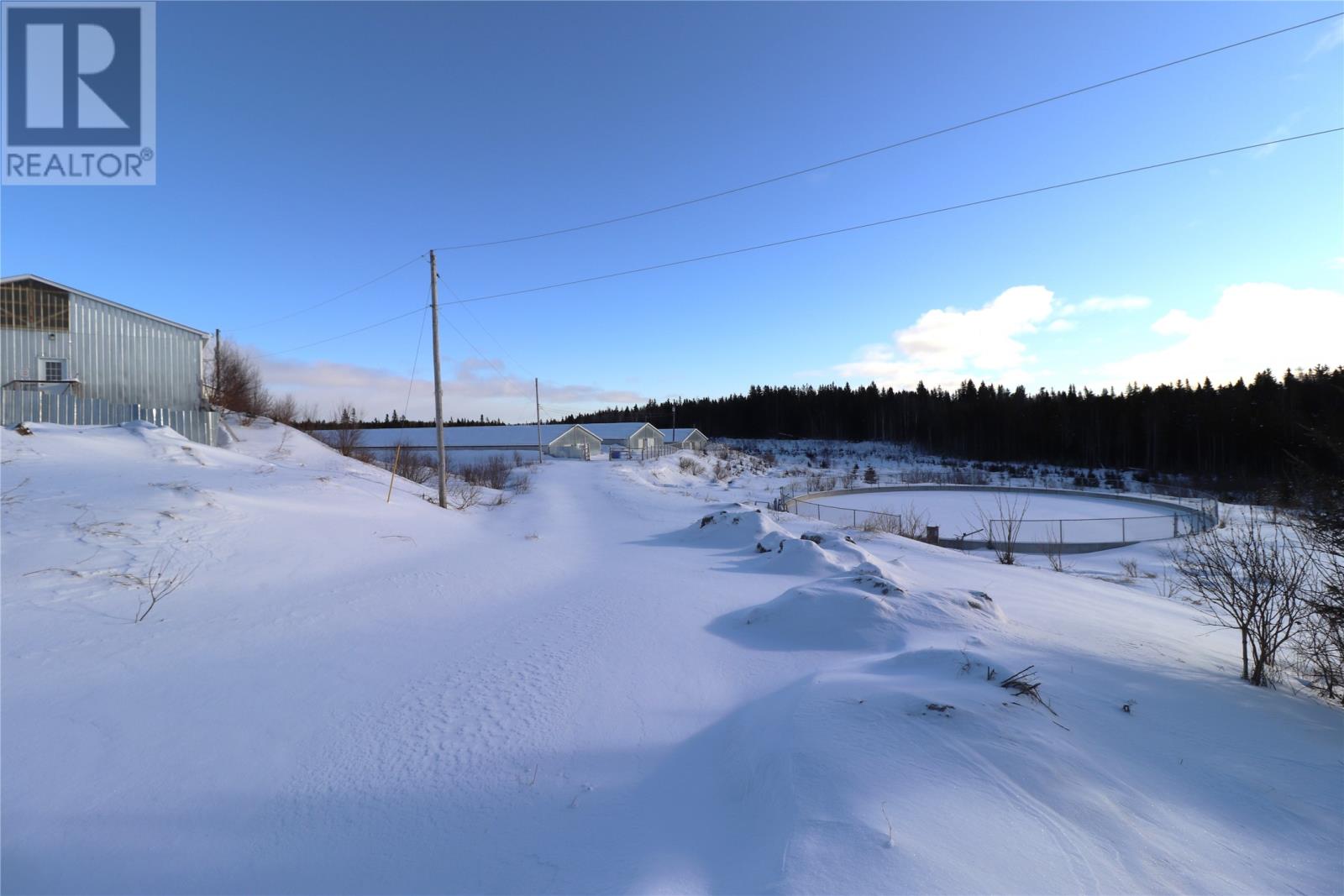 43-47 Birch Avenue, Cormack, Newfoundland & Labrador  A8A 2M3 - Photo 7 - 1295049