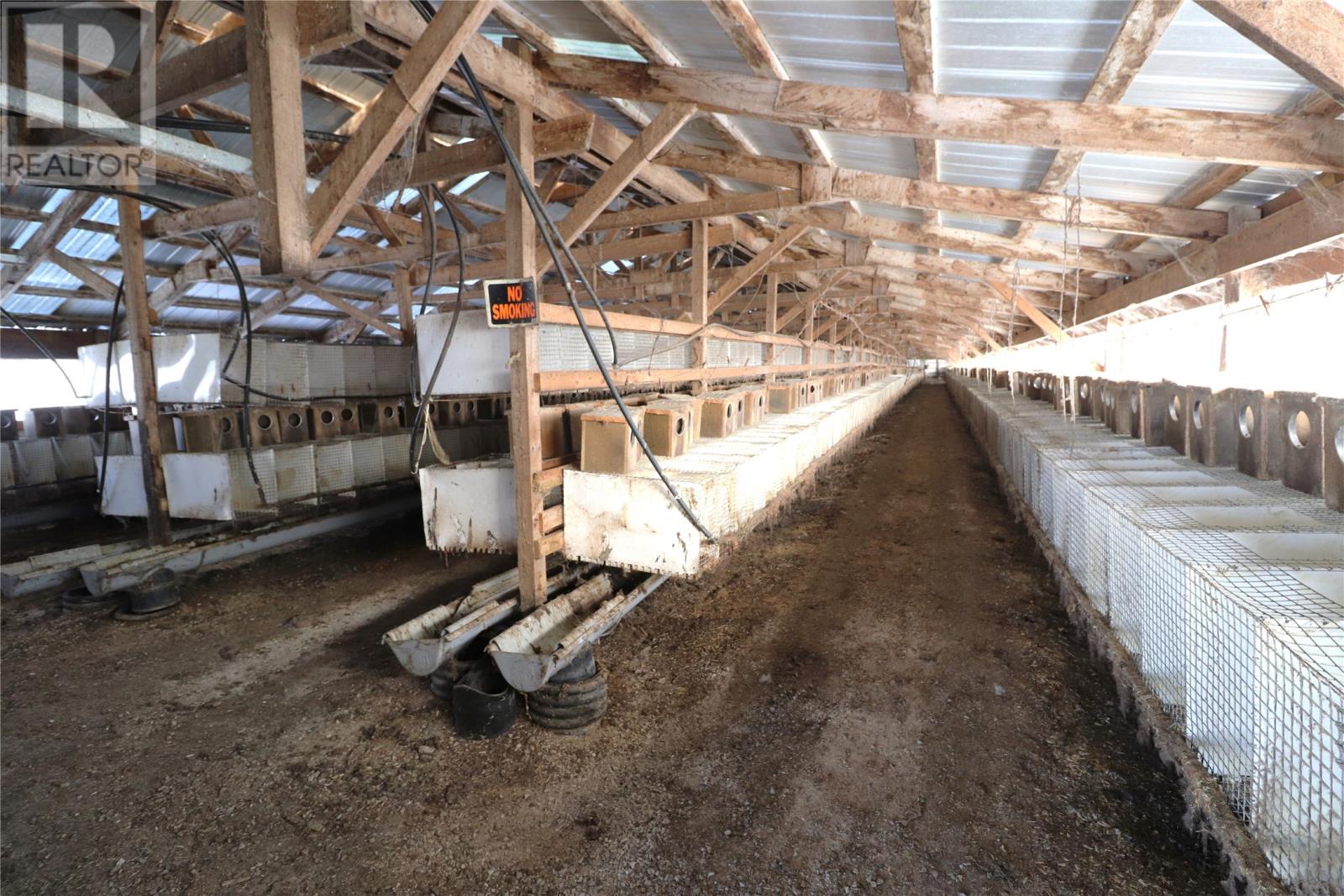 43-47 Birch Avenue, Cormack, Newfoundland & Labrador  A8A 2M3 - Photo 8 - 1295049