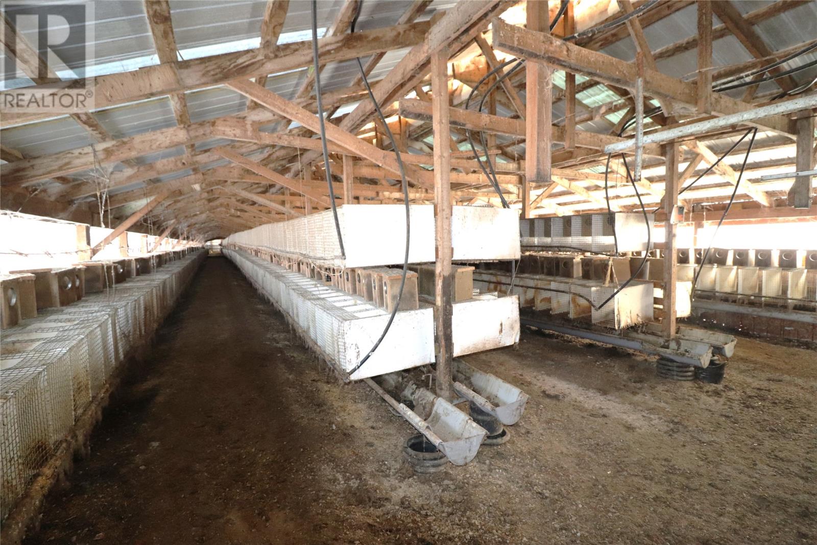 43-47 Birch Avenue, Cormack, Newfoundland & Labrador  A8A 2M3 - Photo 9 - 1295049