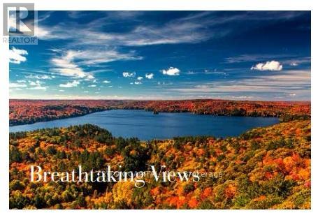 17 Turnberry Court, Bracebridge, Ontario  P1L 0N5 - Photo 25 - X12857454